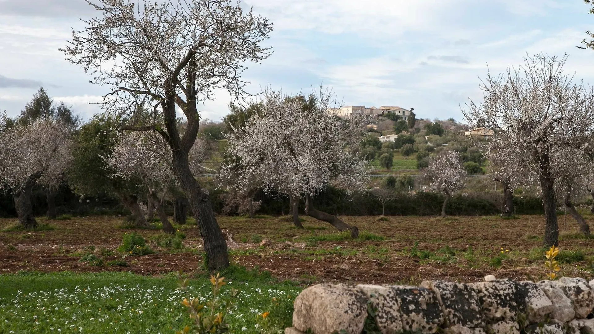 Zahir Country House Hotel Noto