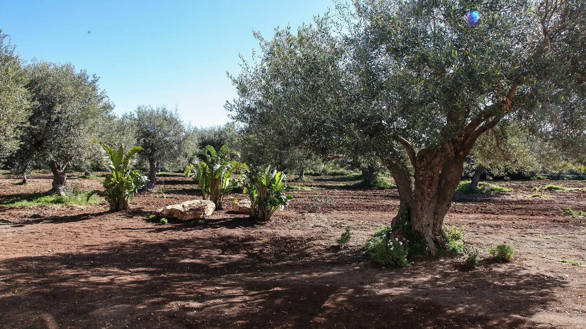 Zahir Country House Hotel Noto