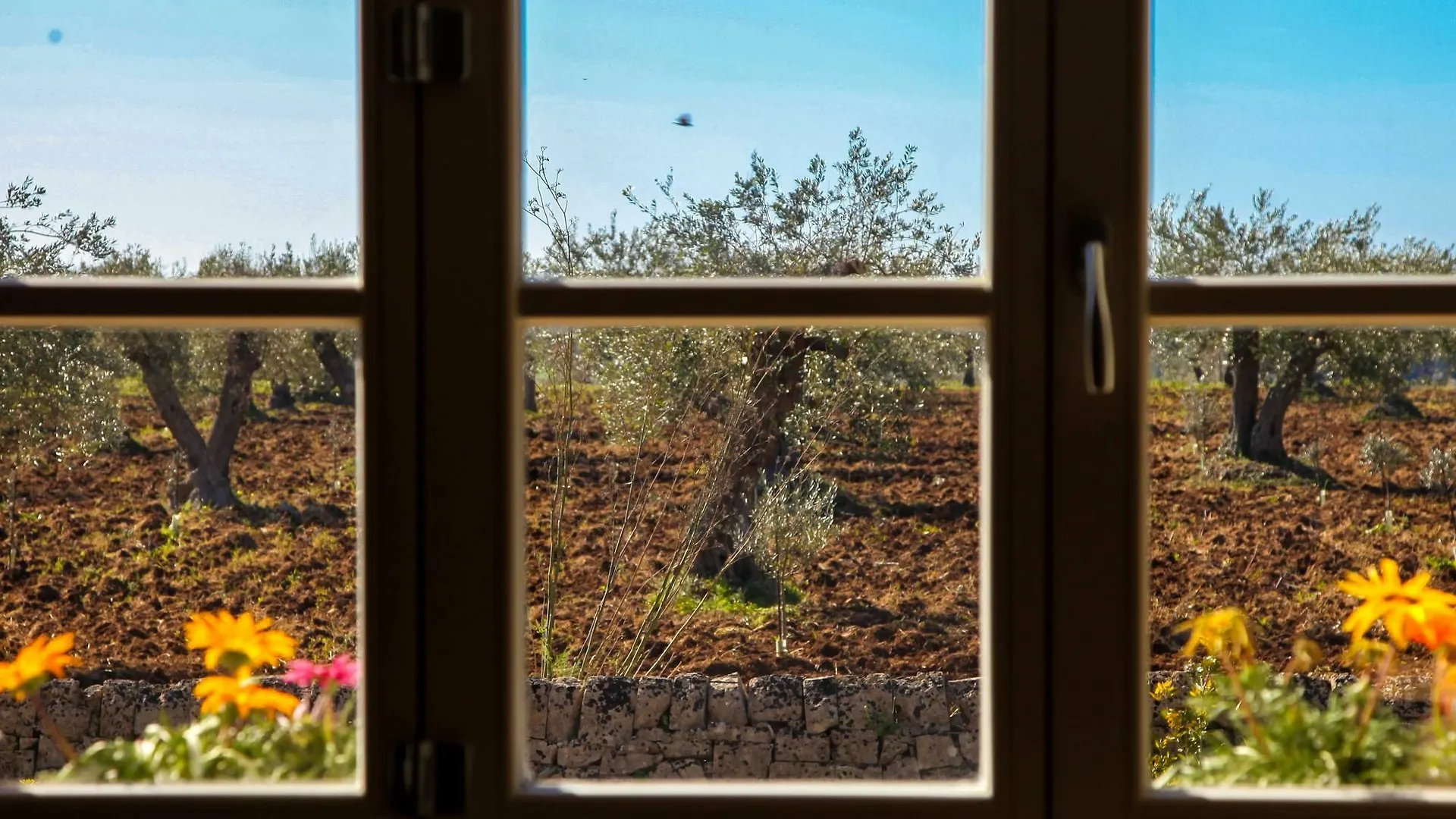 Zahir Country House Hotel Noto 3*,